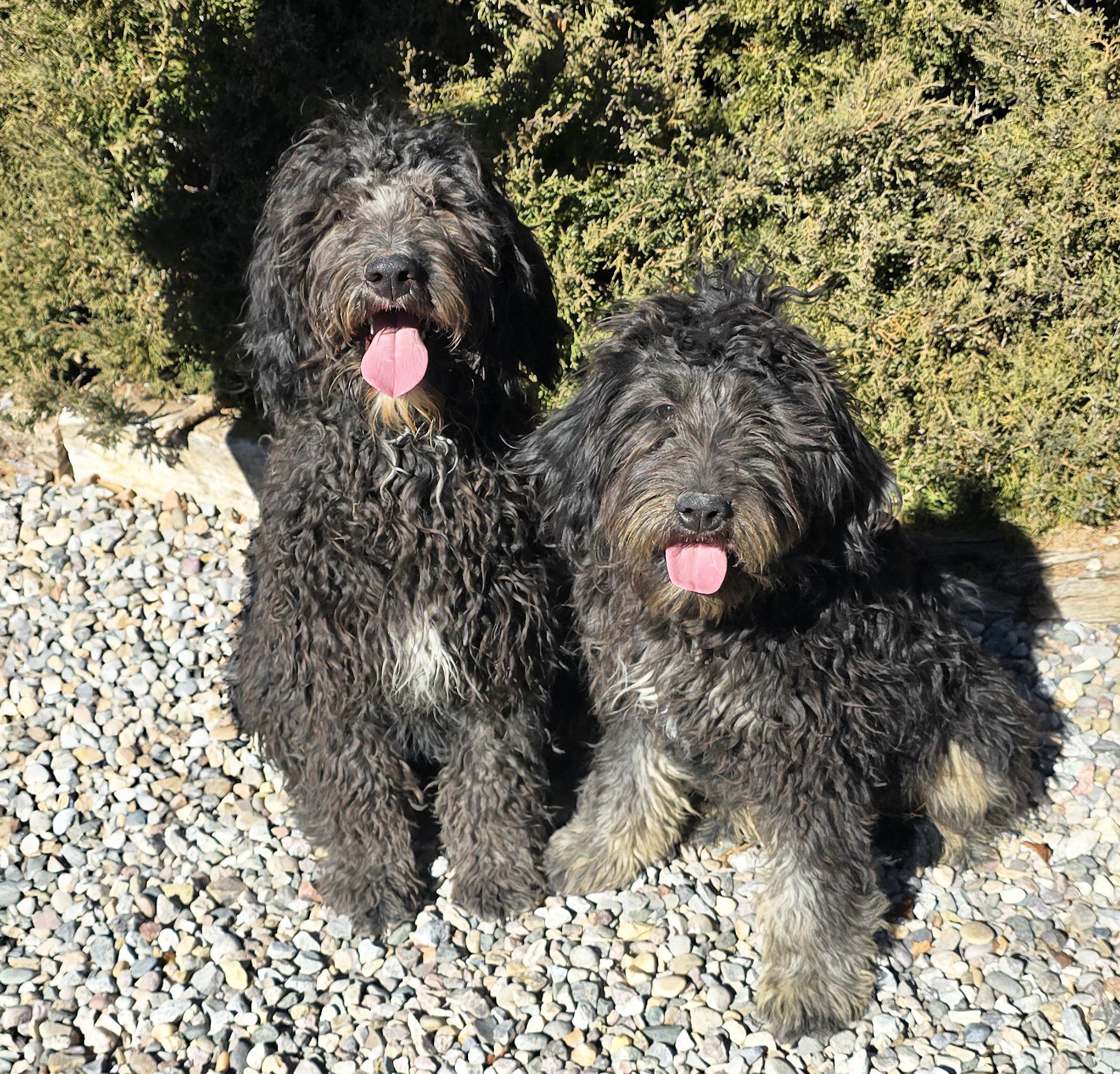 Tantalizing Ms Tortellini = thumbnail 2