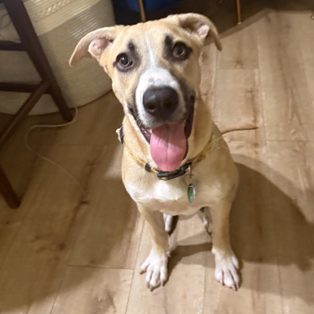 Silver Mist — thumbnail 4