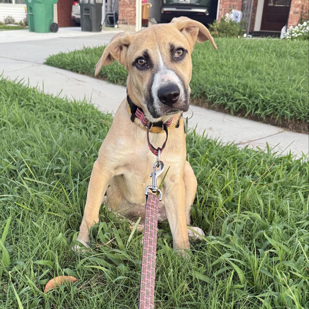 Silver Mist — thumbnail 5