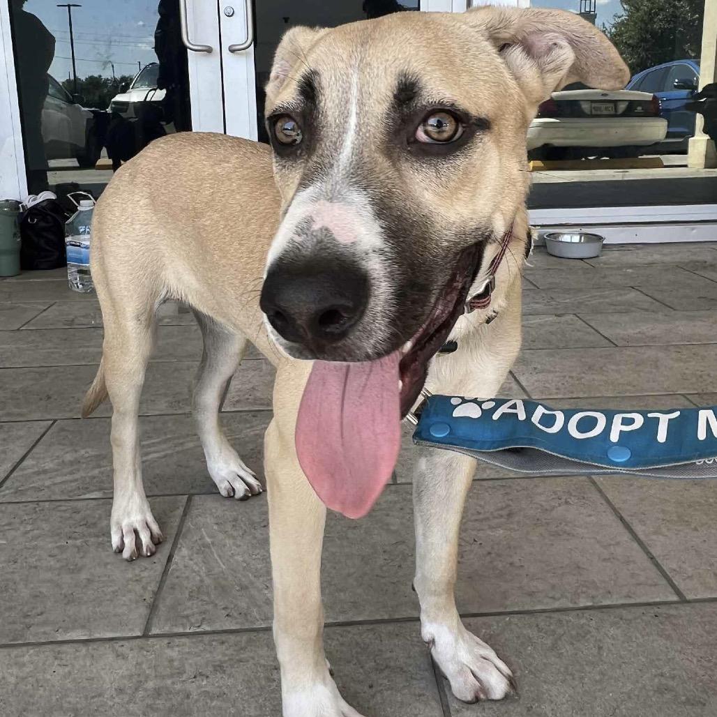 Silver Mist — thumbnail 6