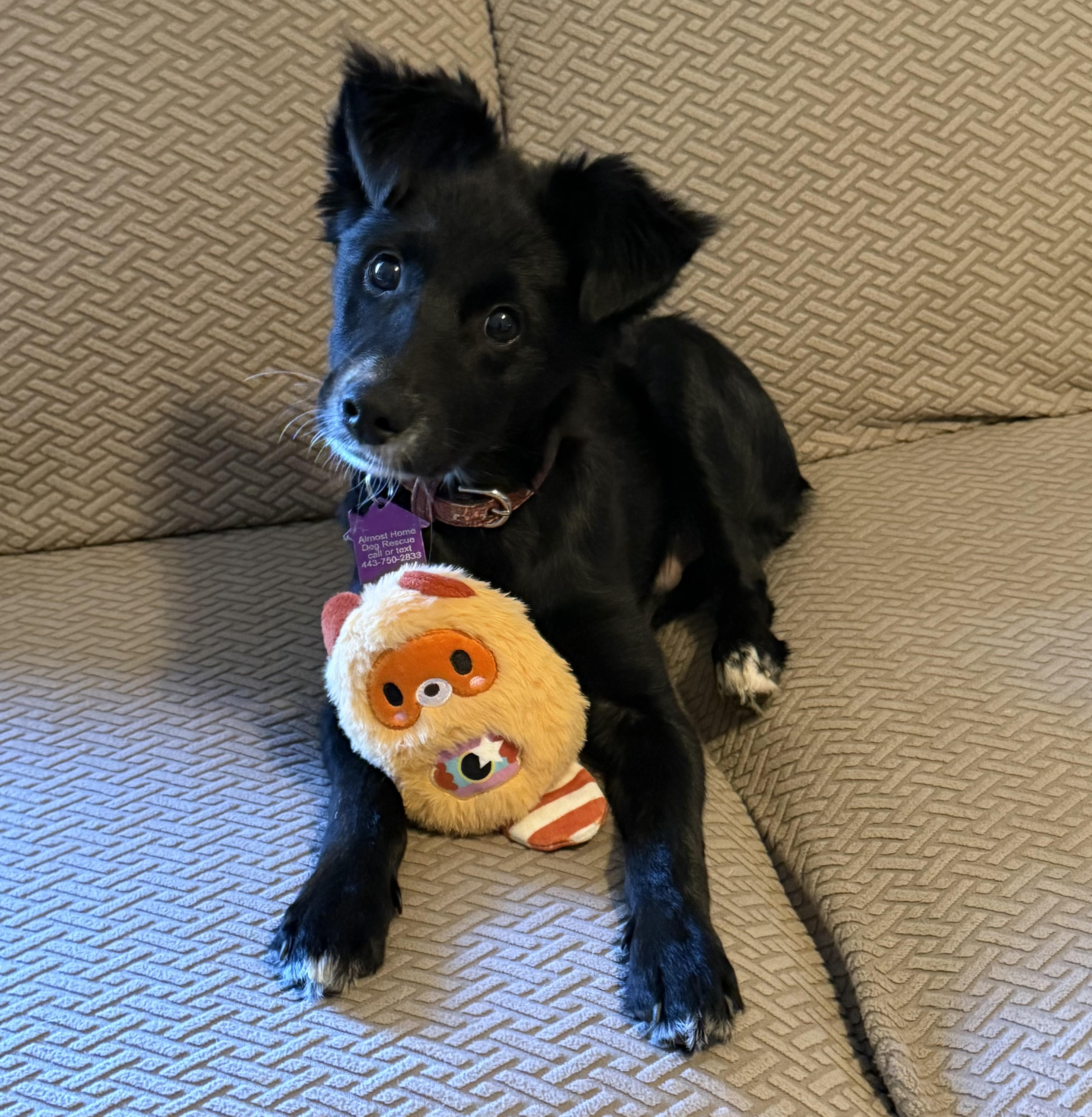 Coco Bean (watch my video)