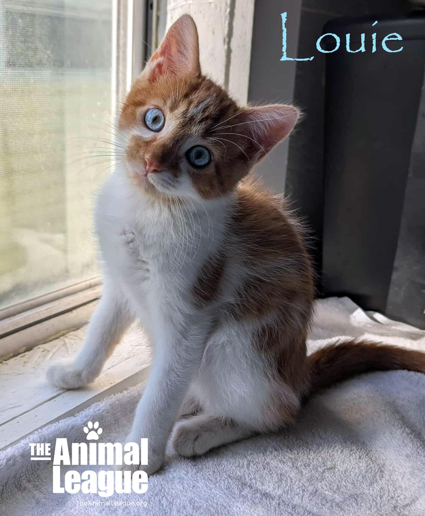 Louie