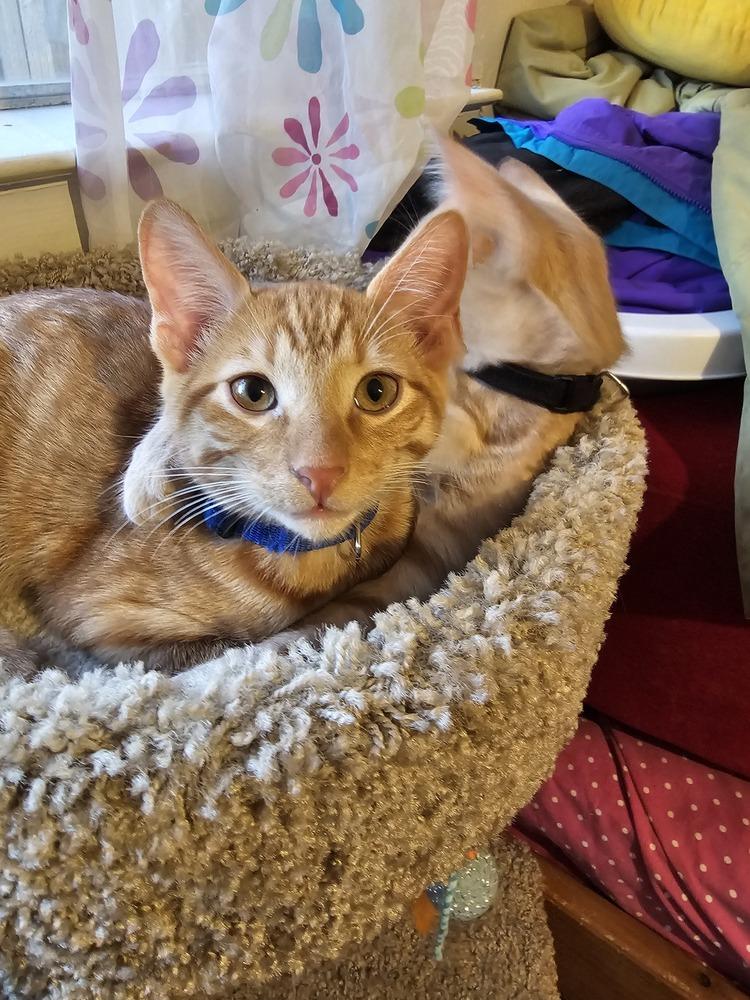 Thomas — thumbnail 2