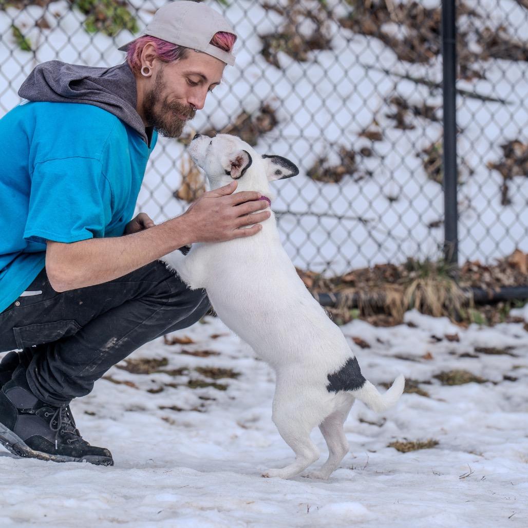 Enlarge Londyn, a Adoptable mixed breed in Pawling, NY image 5/6