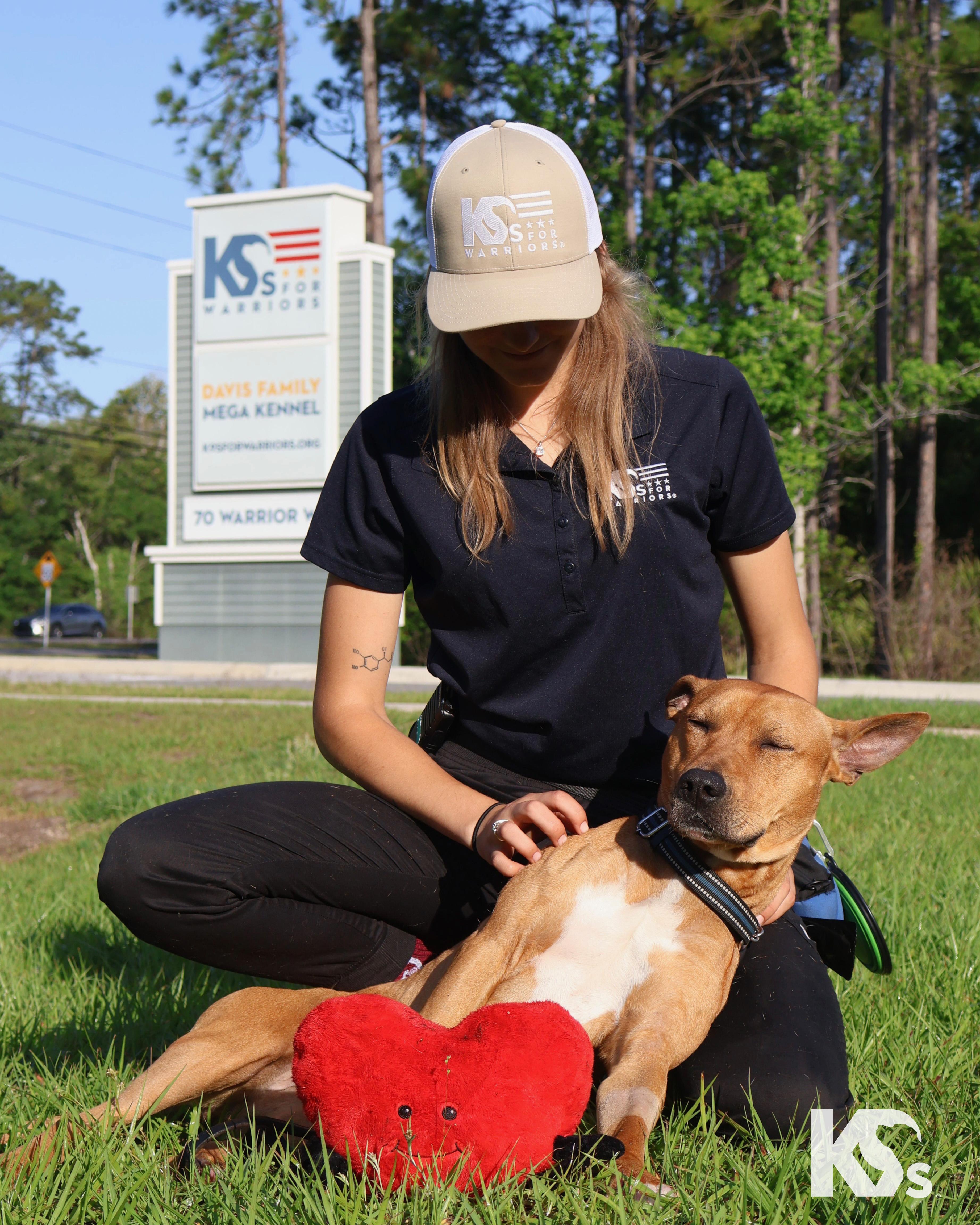 Enlarge Ra, a Adoptable mixed breed in Ponte Vedra, FL image 6/6