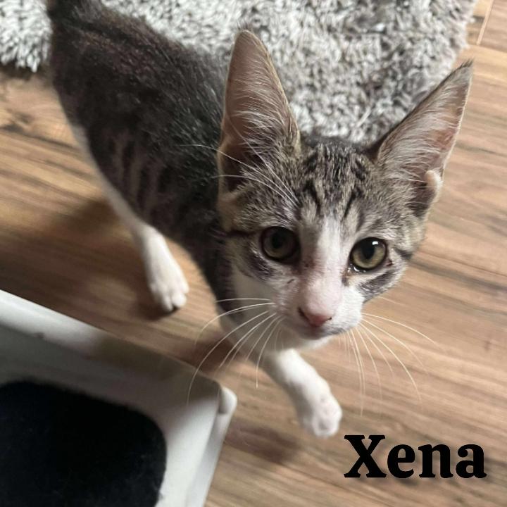 Xena