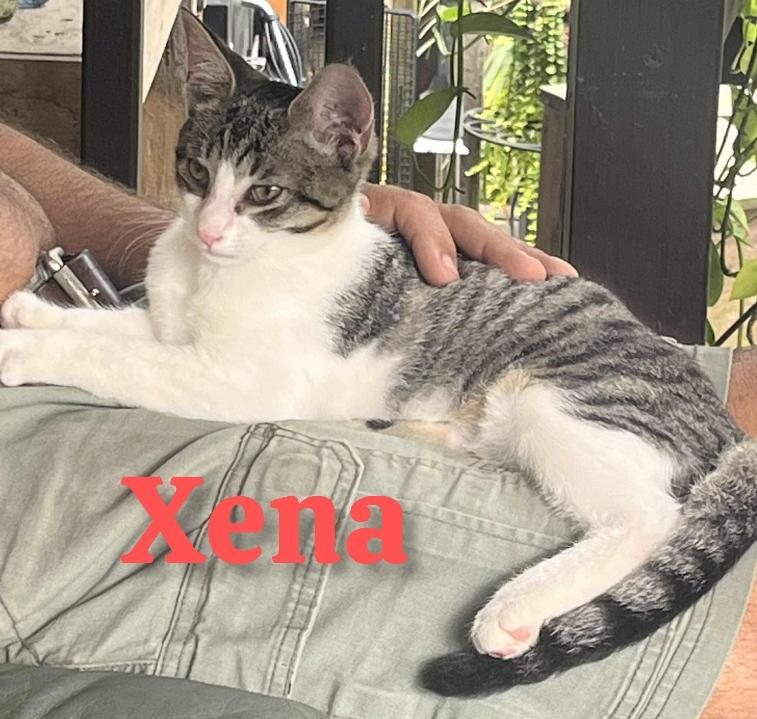 Xena