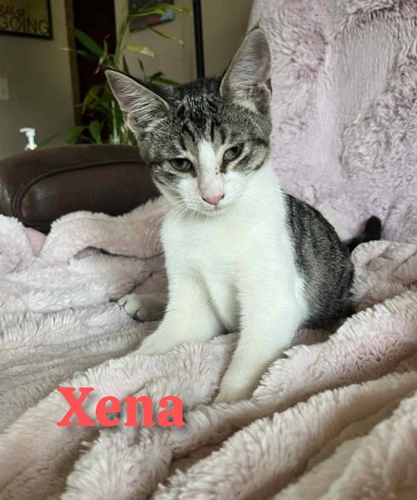 Xena