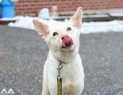 Honey — thumbnail 2