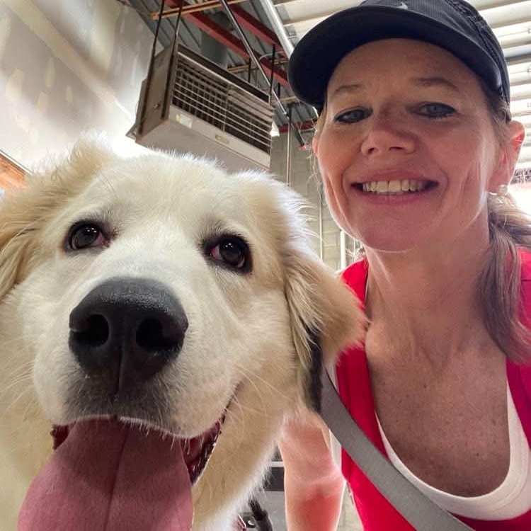 Enlarge Broly, an adopted Great Pyrenees in Minooka, IL image 4/4