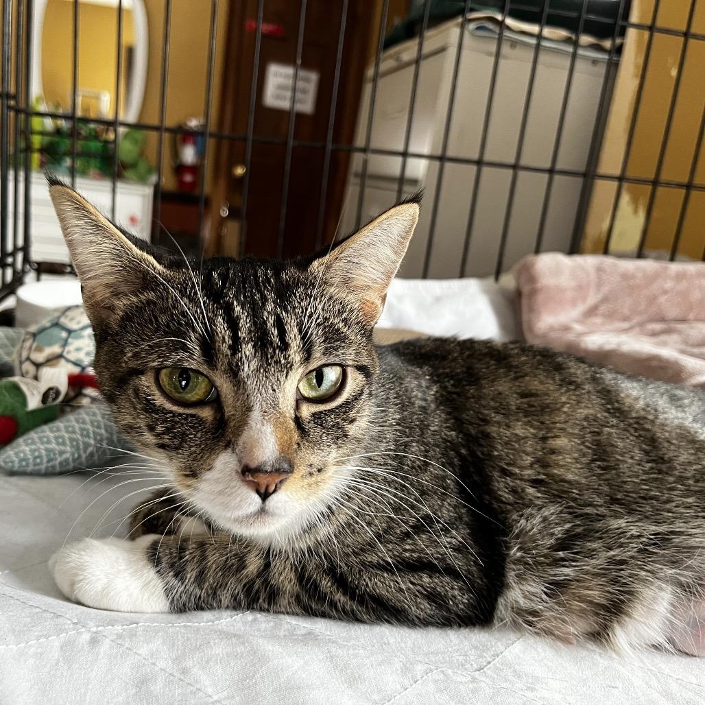 Chili(mom) — thumbnail 2