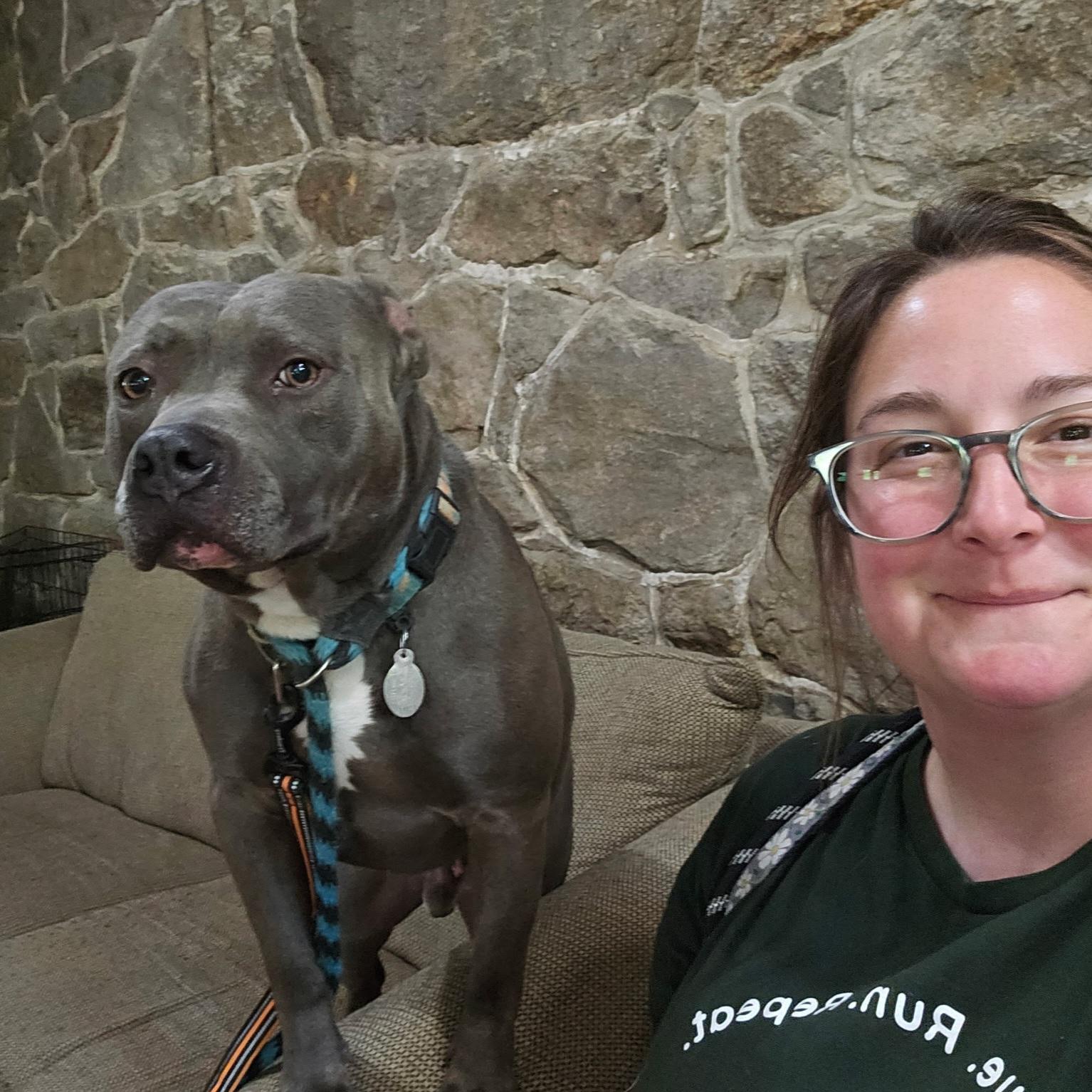 Enlarge Harley, an adoptable mixed breed in Phoenixville, PA image 2/6