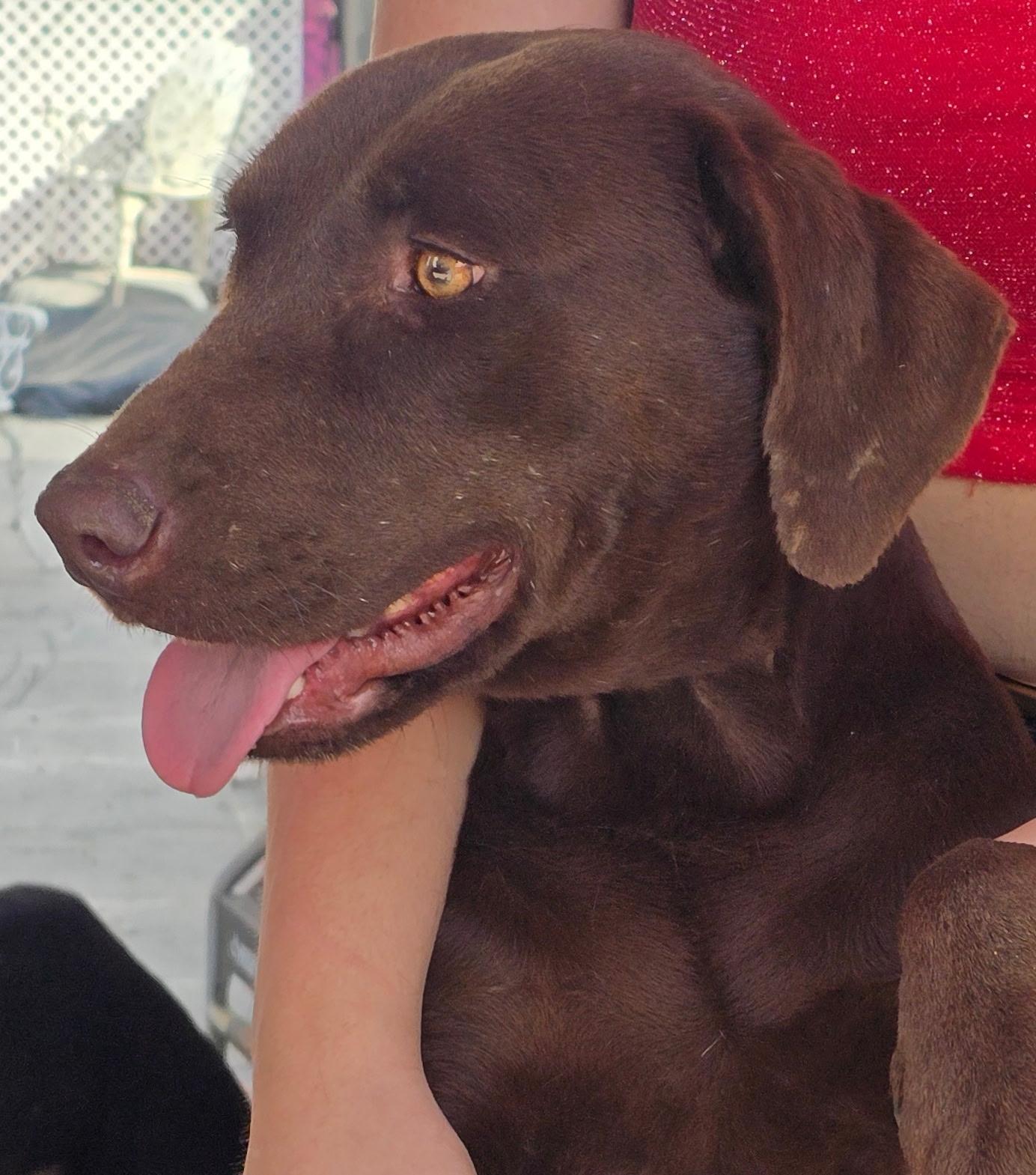 Roosevelt — thumbnail 3