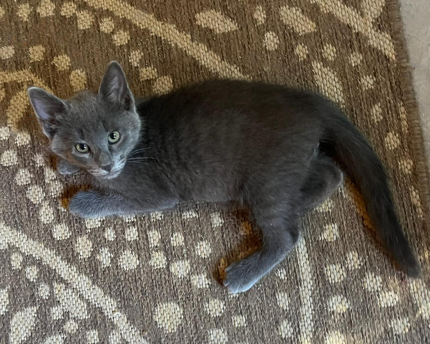 Zinc — As Rare and Refined as His Name