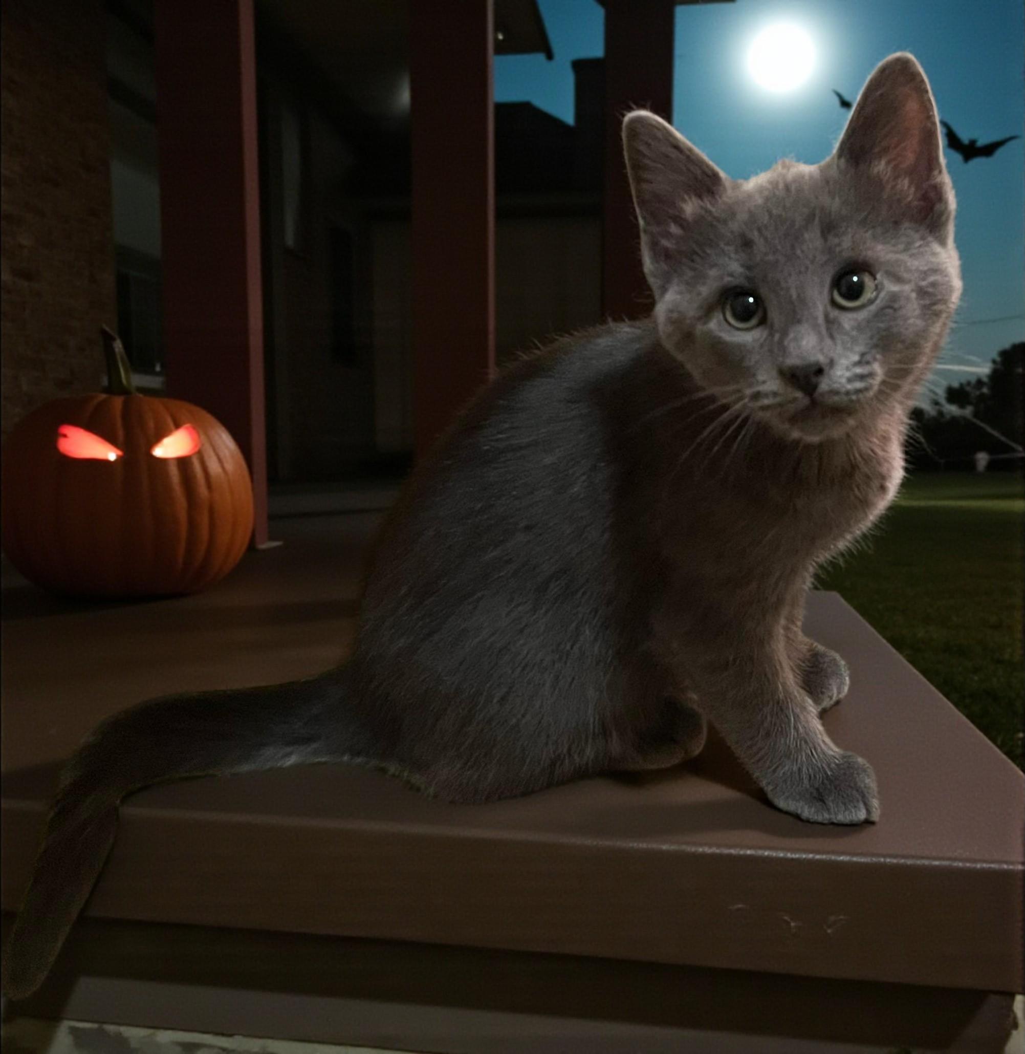 Zinc — As Rare and Refined as His Name