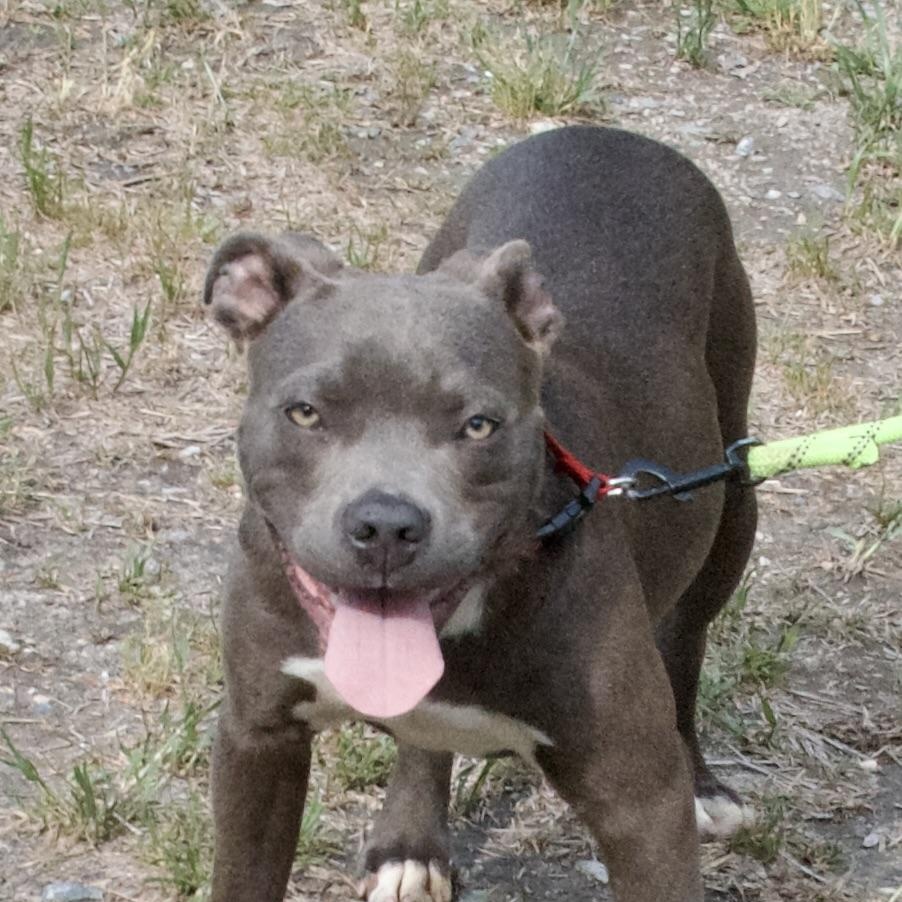 Sad Eyes thumbnail 3