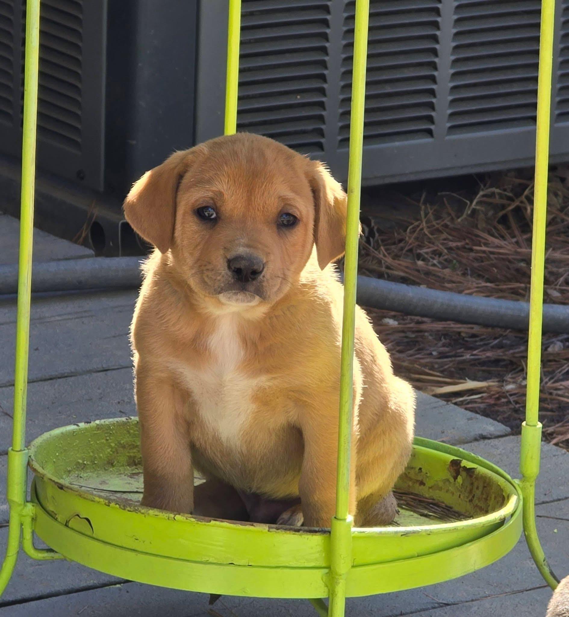 Twizzler — thumbnail 4