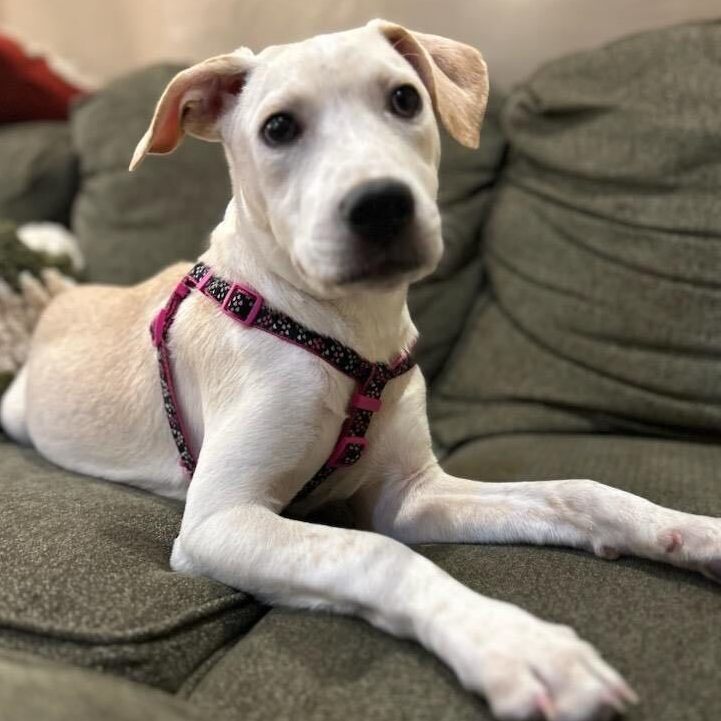 Sally - CTS2025 photo 1