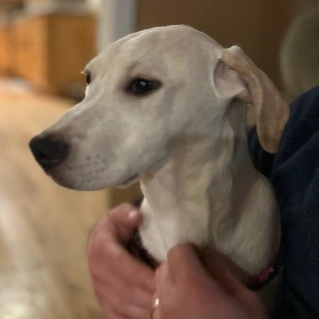 Sally - CTS2025 photo 4
