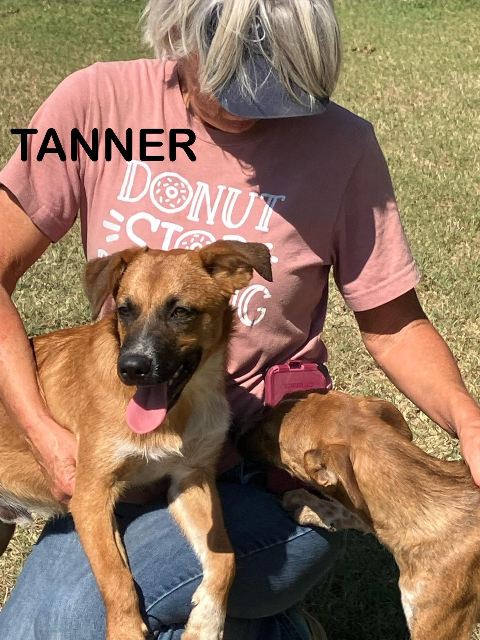 Tanner-Totally Terrific