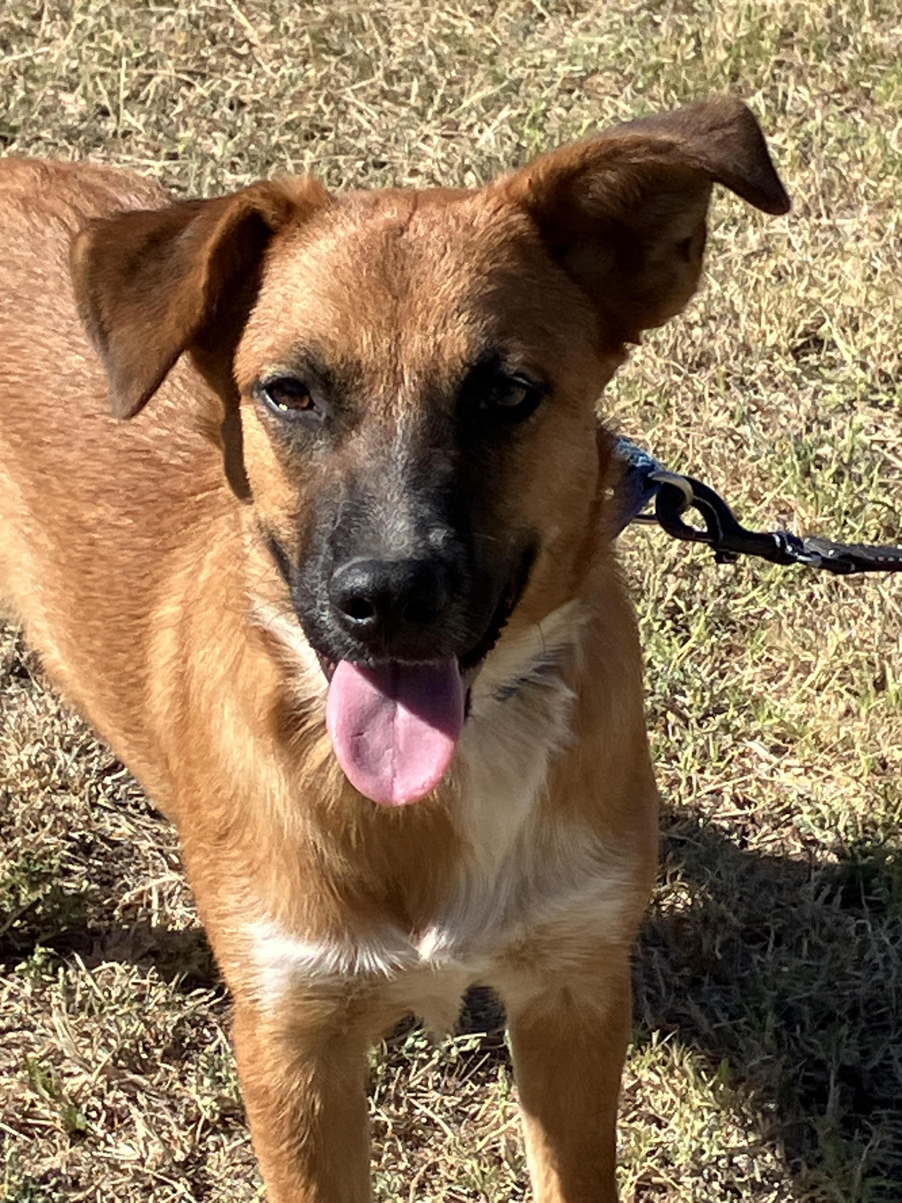 Tanner-Totally Terrific