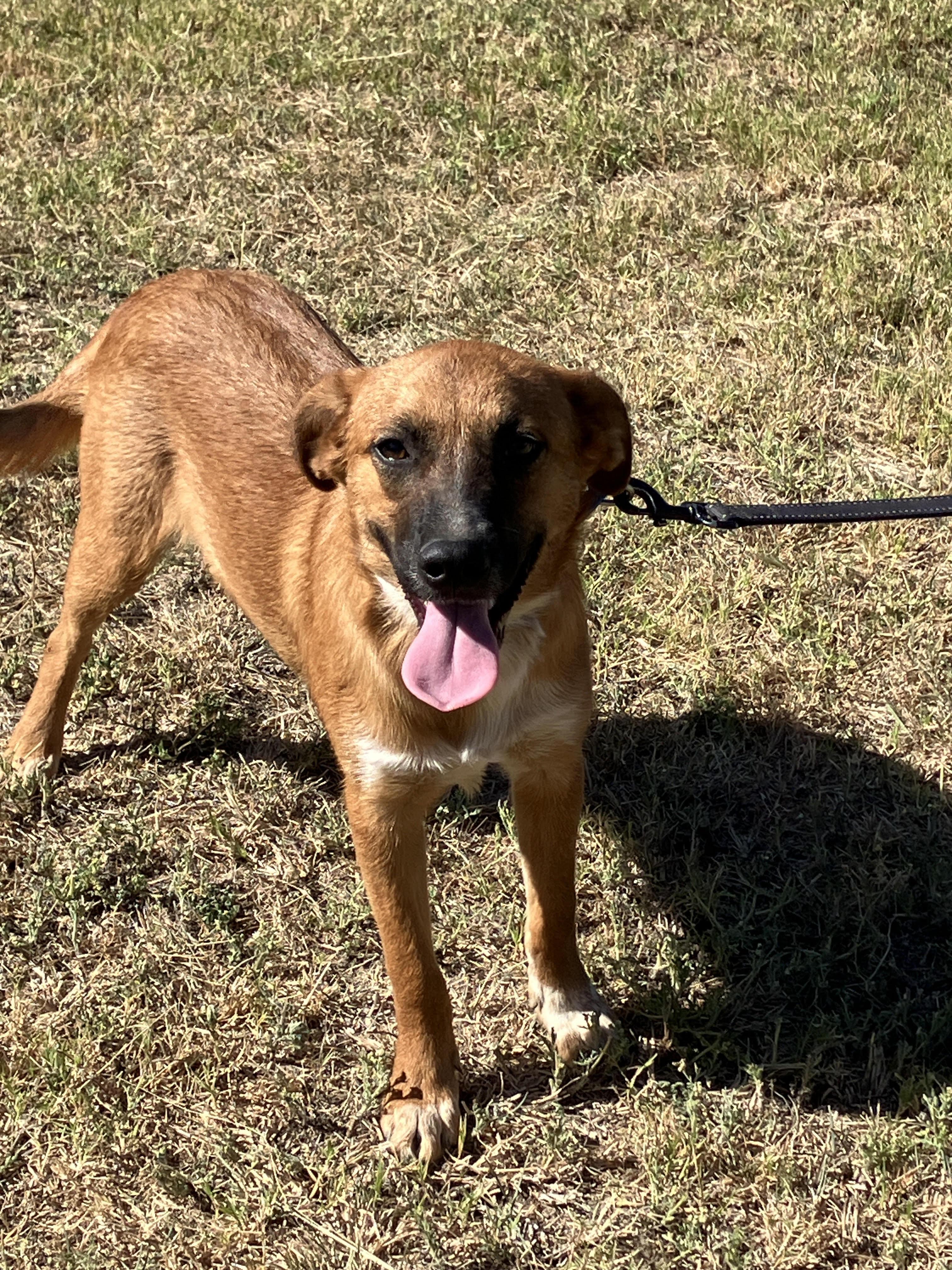 Tanner-Totally Terrific