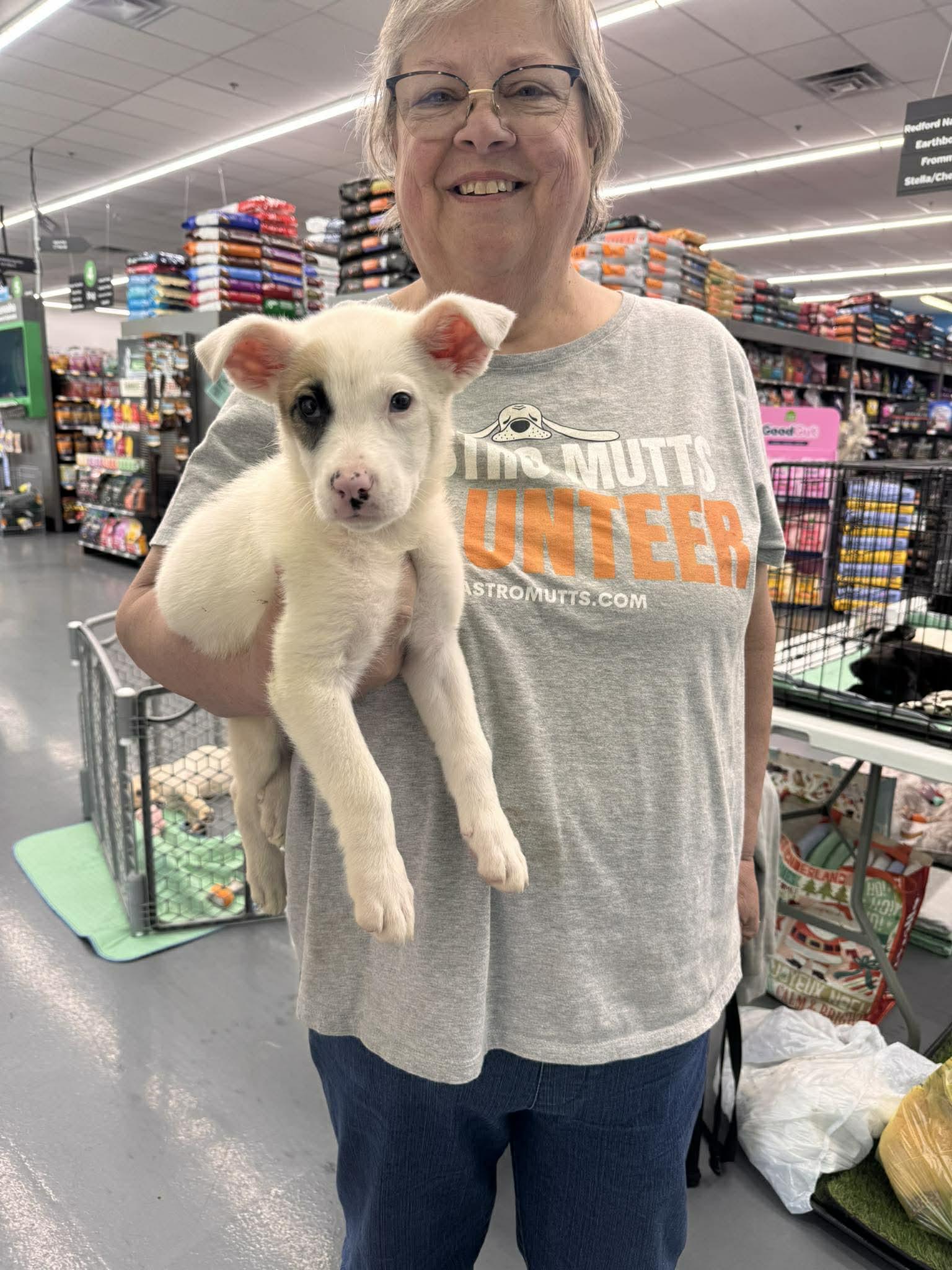 Gabby Gabby , adopted, Puppy Female Mixed Breed.