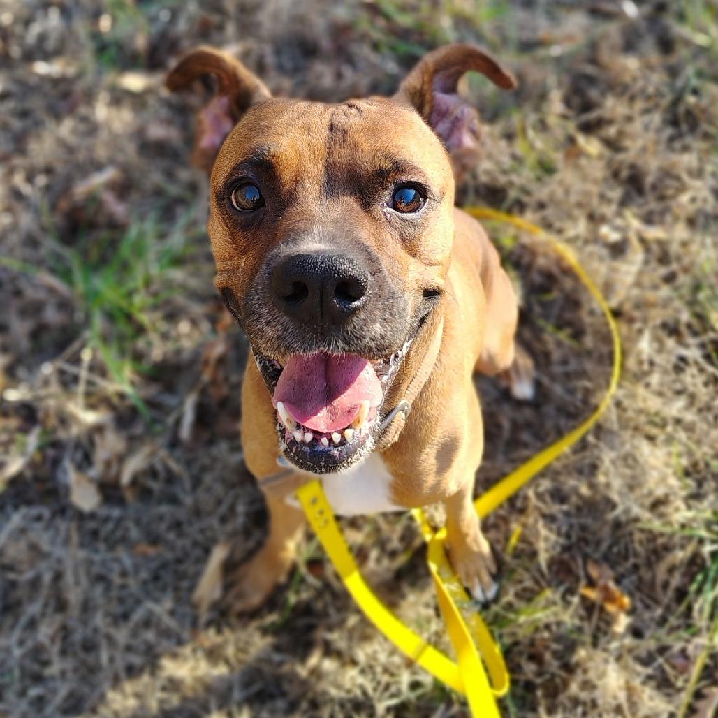 Mr Wiggles — thumbnail 2