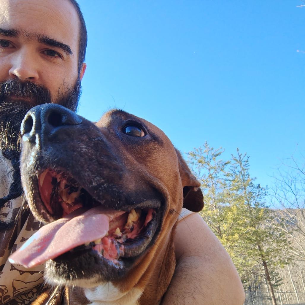 Mr Wiggles — thumbnail 3