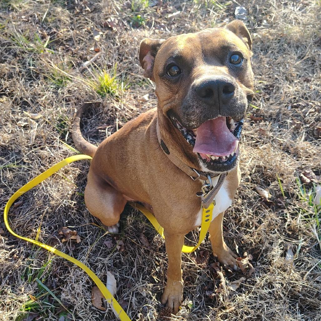 Mr Wiggles — thumbnail 4