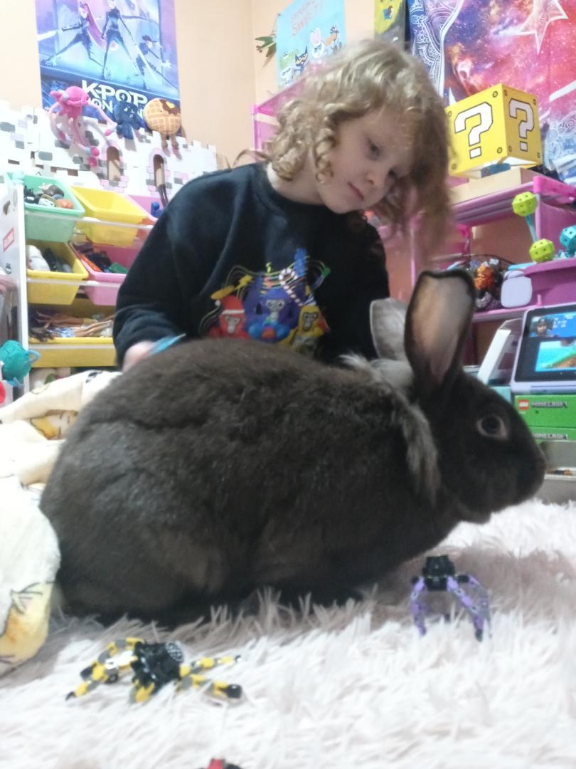 Rosie and Lou photo