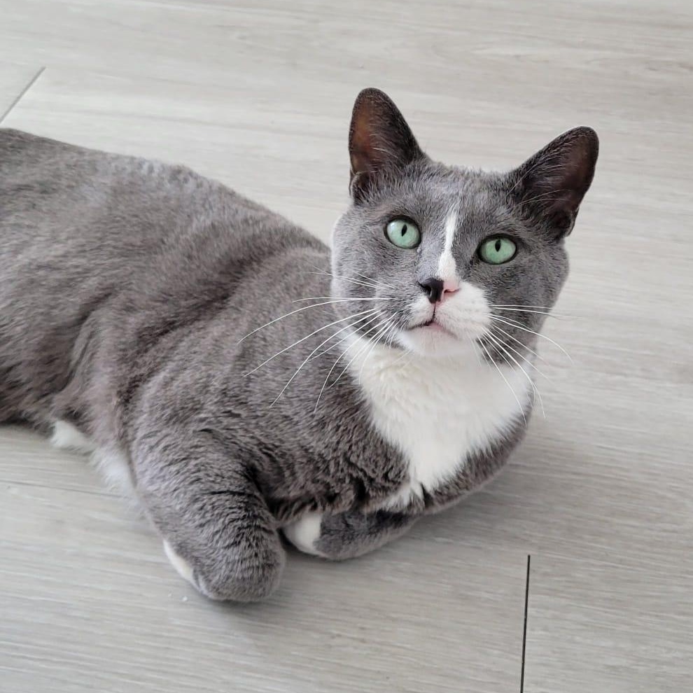 Lloyd photo 3