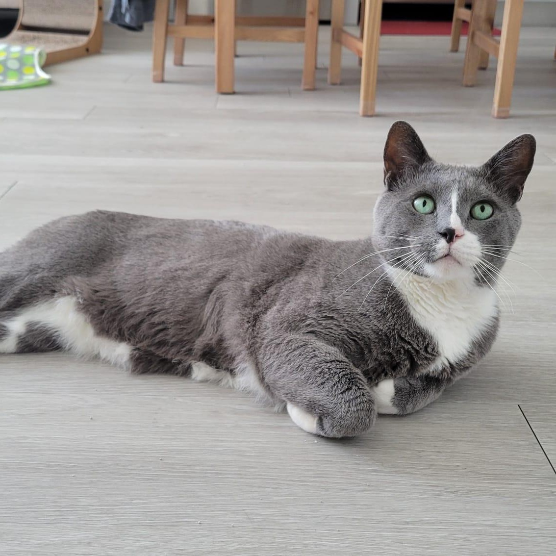 Lloyd photo 6