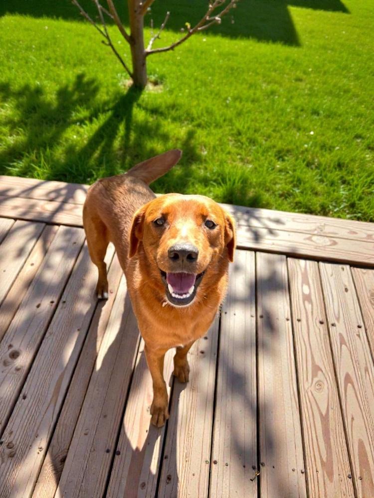 Kanela — thumbnail 3