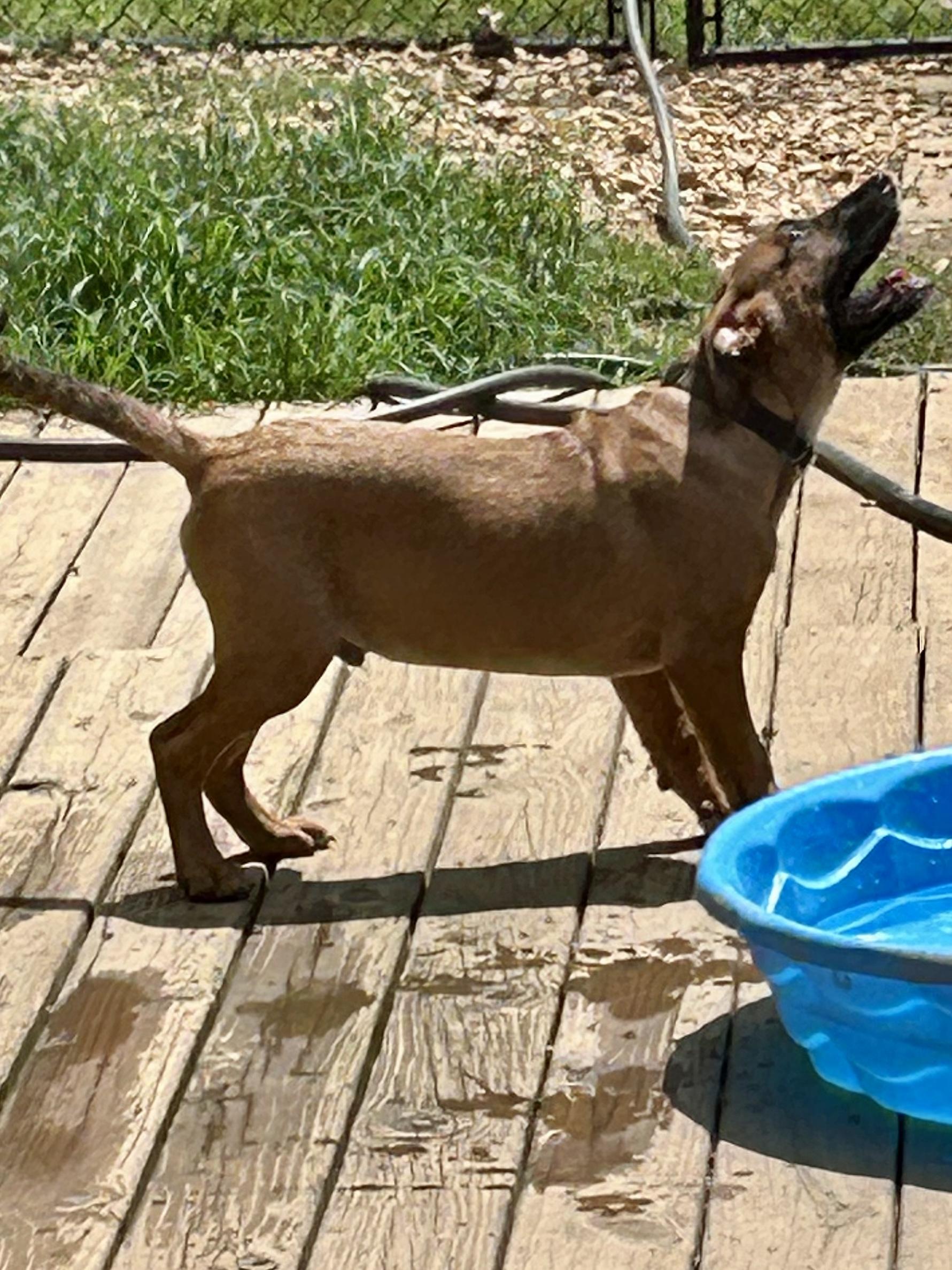 FRANK — thumbnail 4