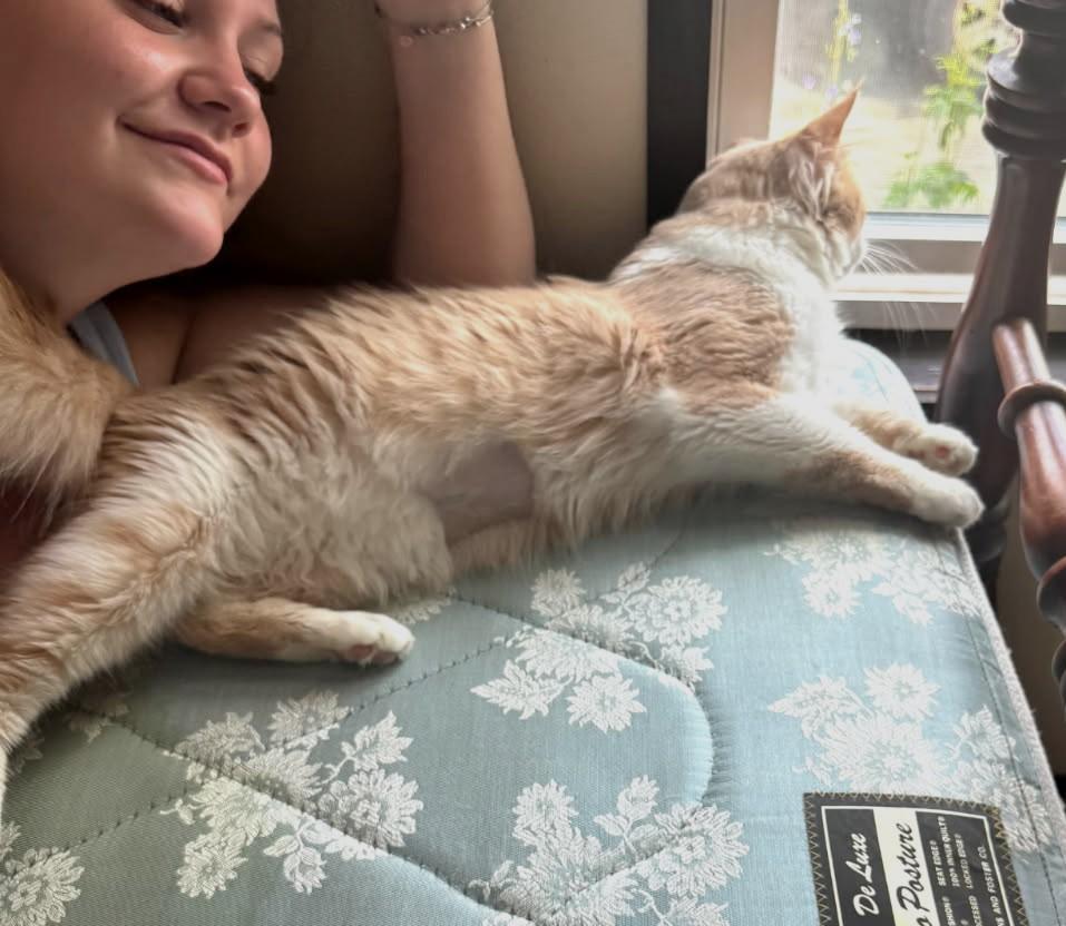 Garfield   (Friendliest Pet Ever)
