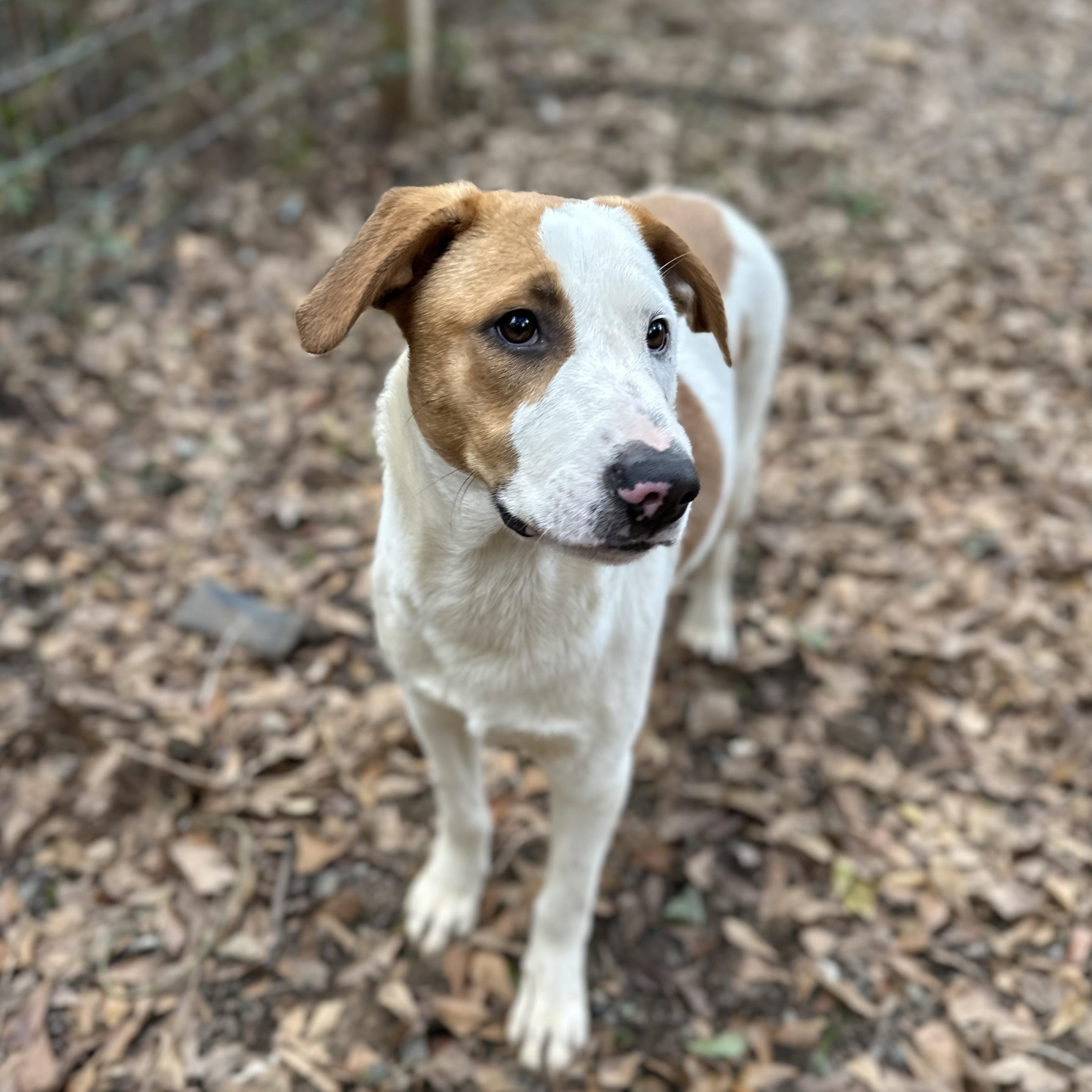 Caroline — thumbnail 2