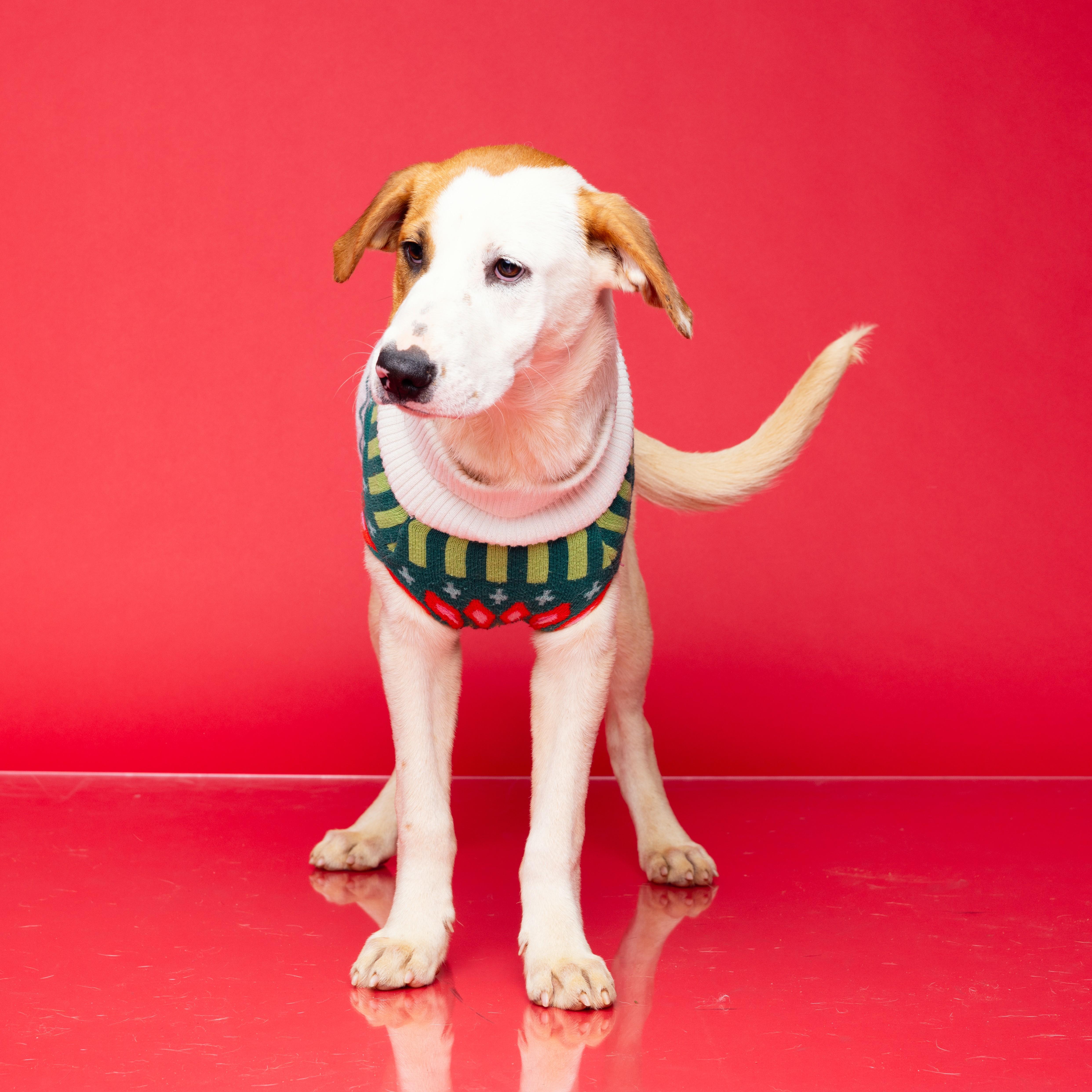 Caroline — thumbnail 4