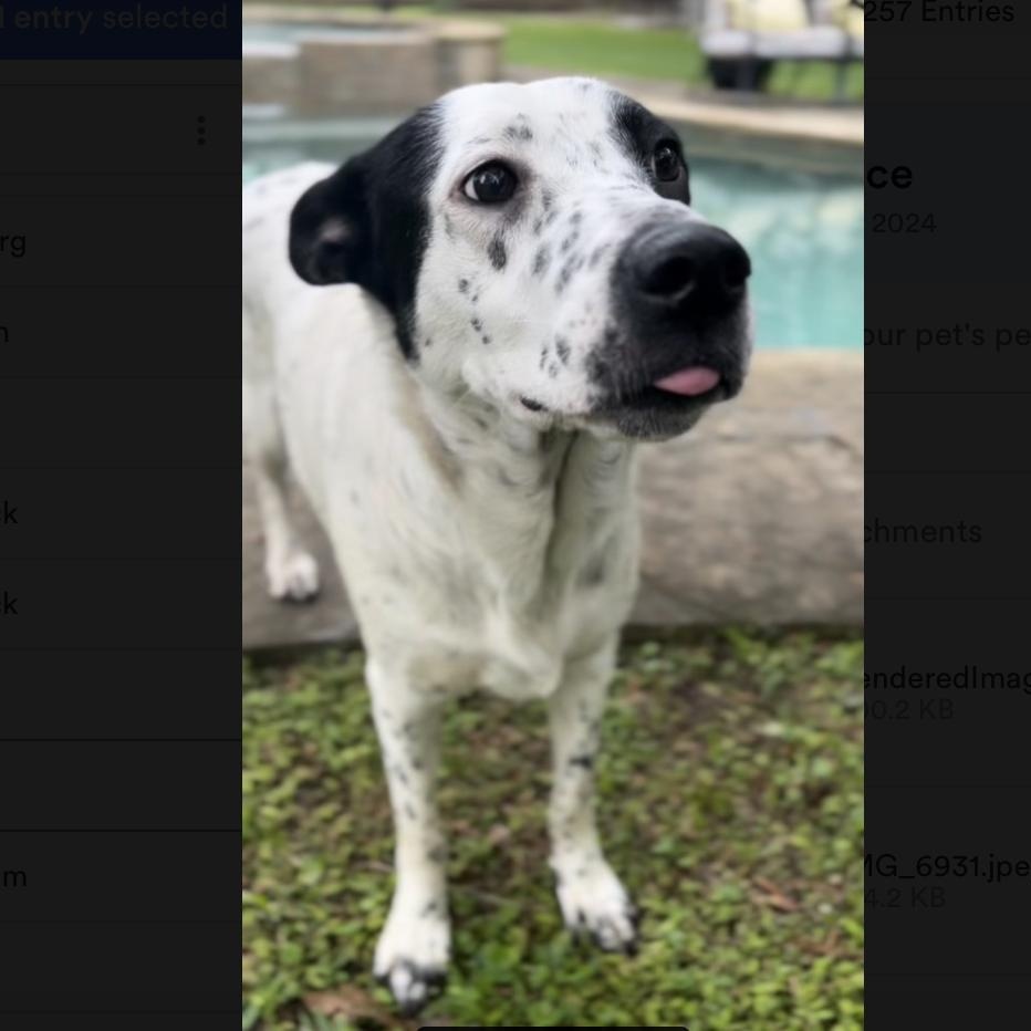 Birdie — thumbnail 4