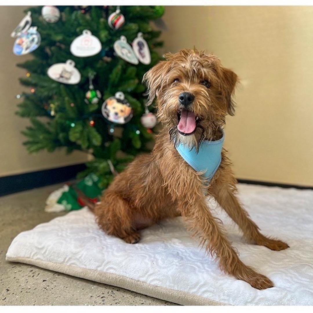 Sprocket thumbnail 2