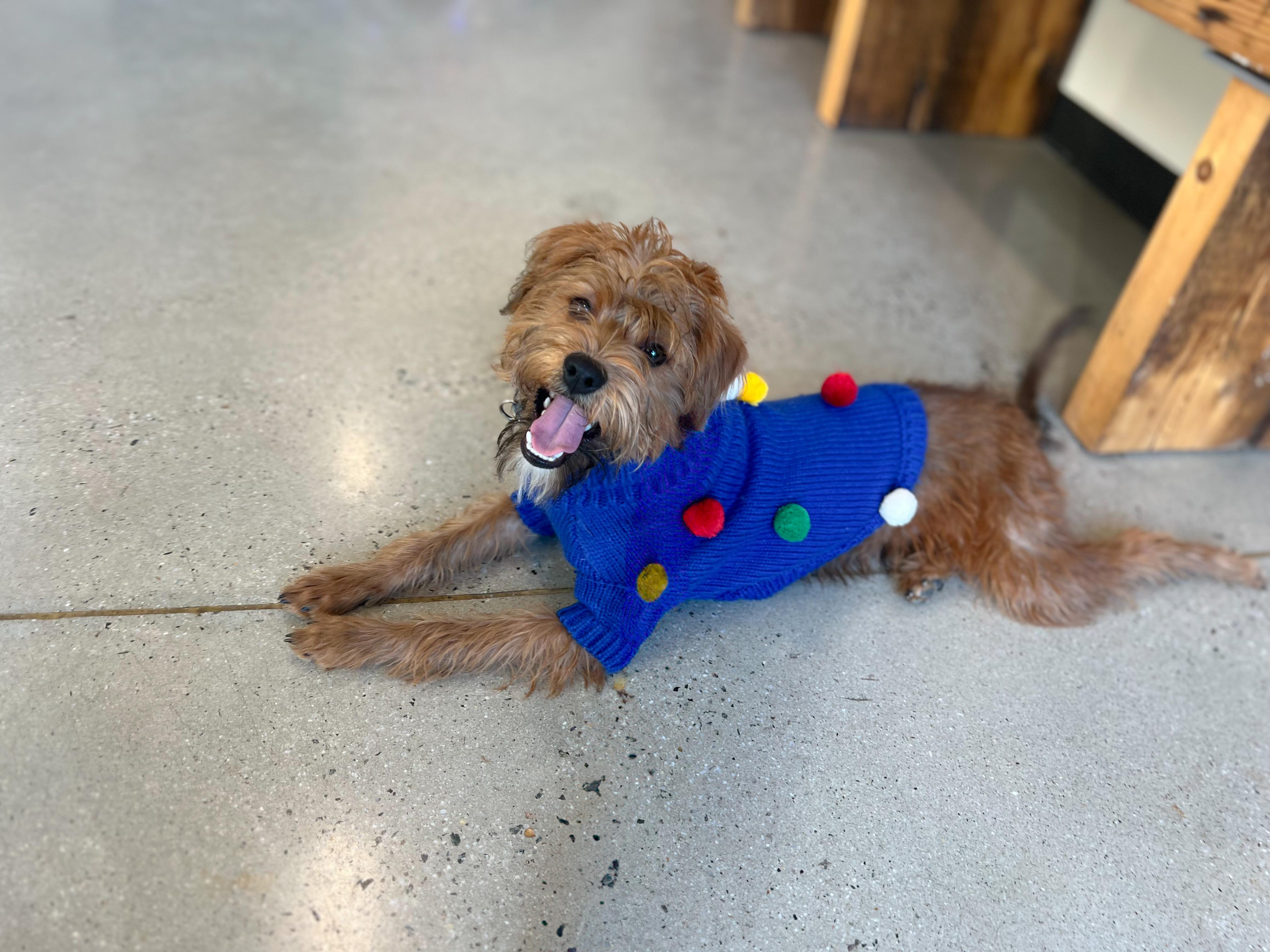 Sprocket thumbnail 3