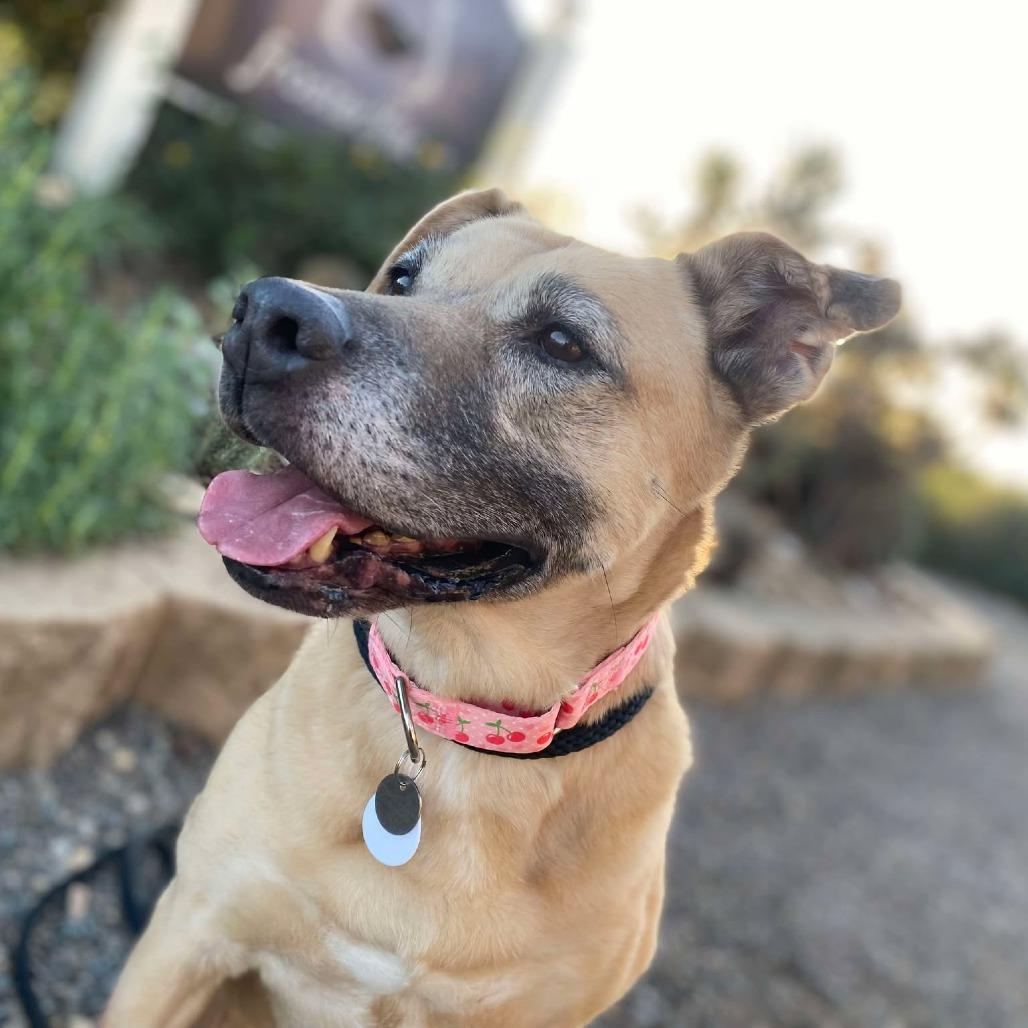 Charlee — thumbnail 2