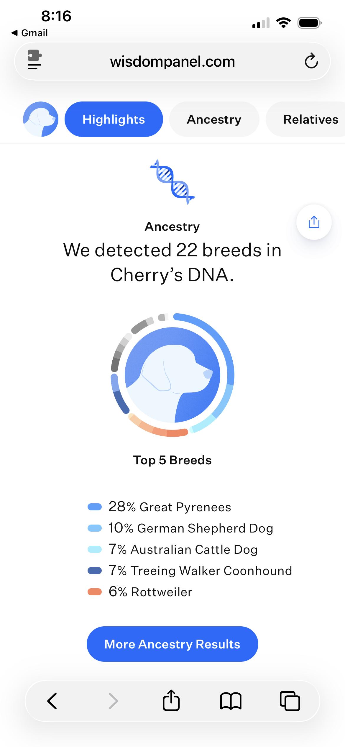 Enlarge Serrano, an adopted mixed breed in Rochester , NY image 6/6