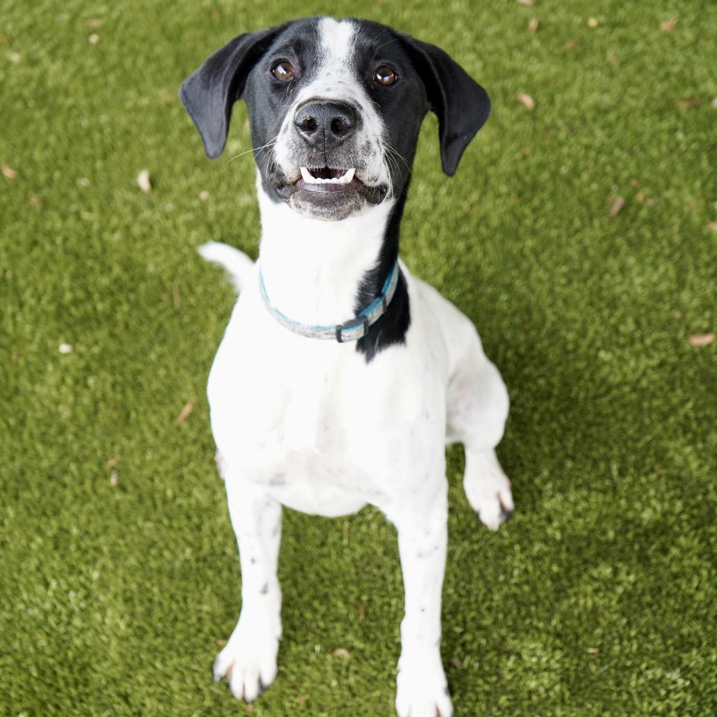 Cordelia — thumbnail 4