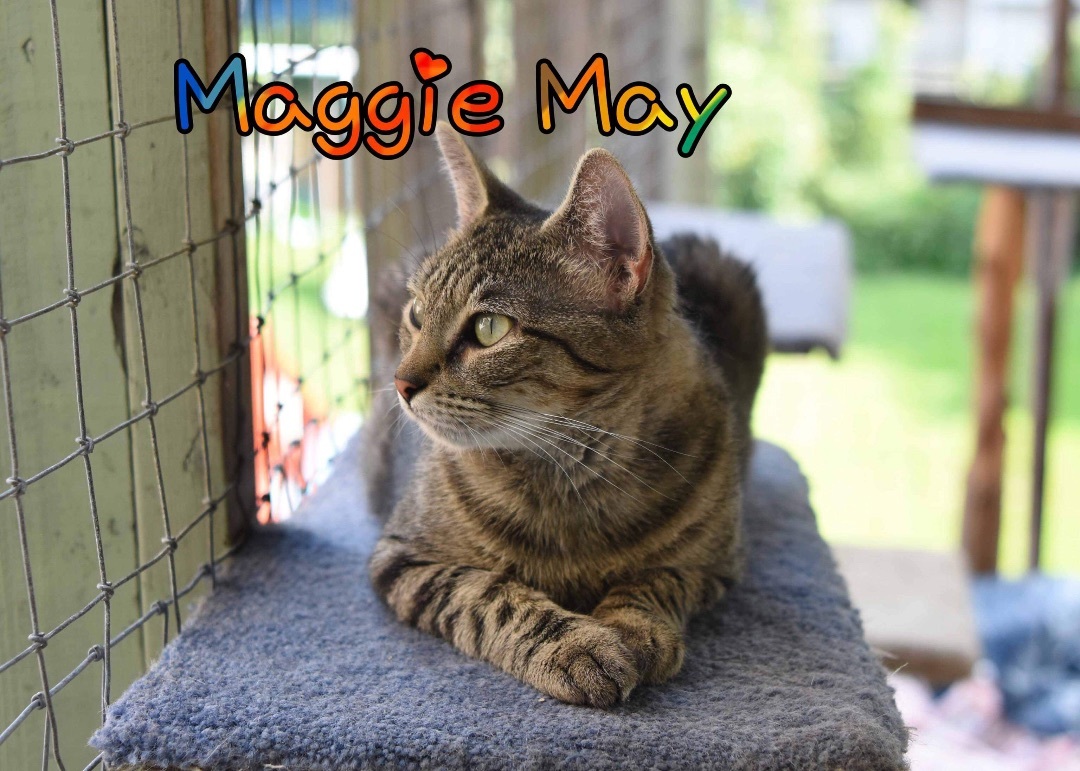 Maggie May photo 4