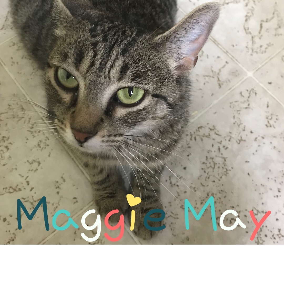 Maggie May photo 2