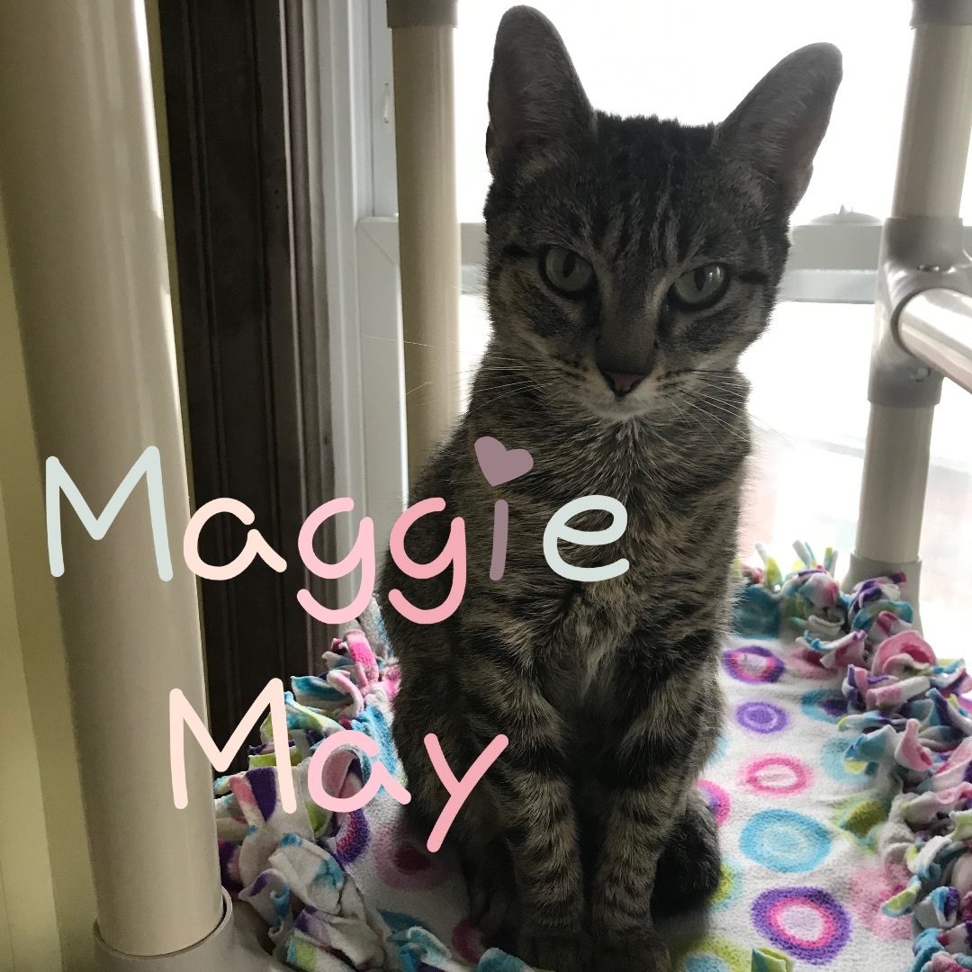 Maggie May photo 3