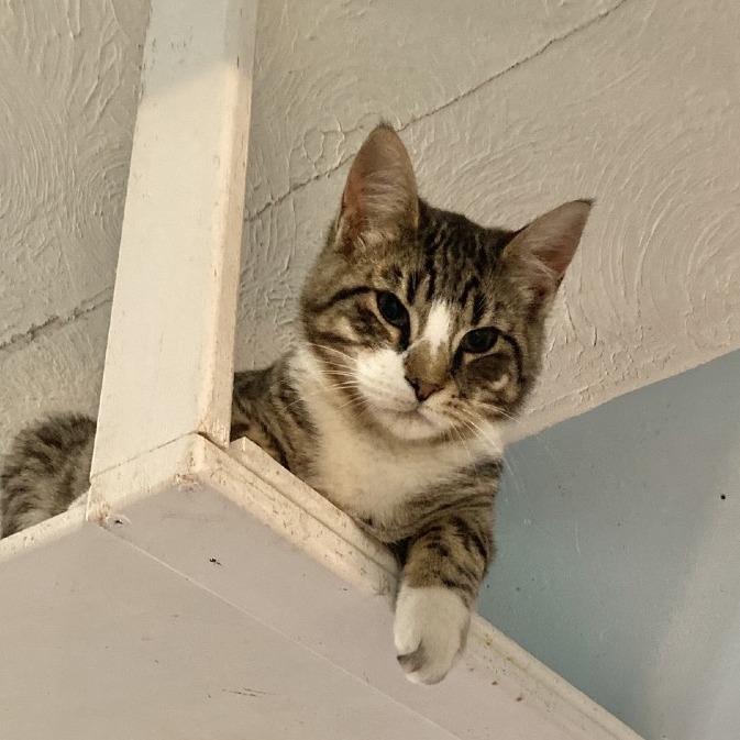 Exxon — thumbnail 2