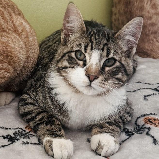 Exxon — thumbnail 3