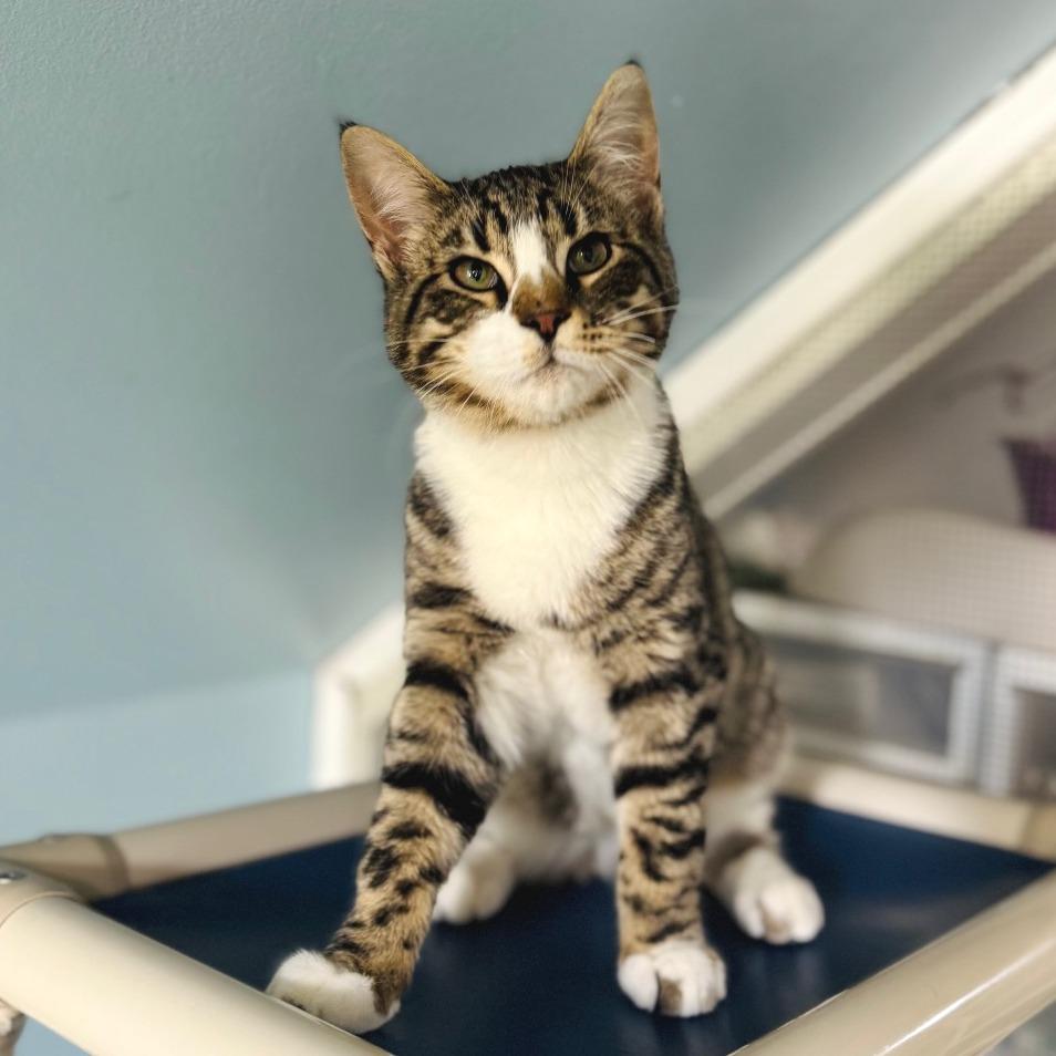 Exxon — thumbnail 4